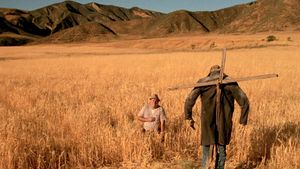 Dark Night of the Scarecrow's poster