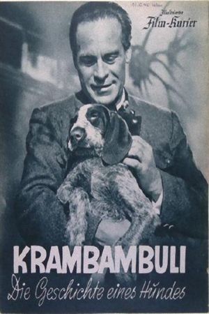 Krambambuli's poster