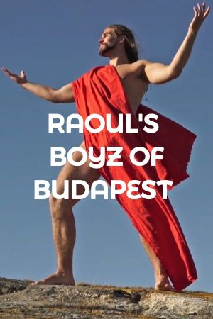 Raoul's Boys of Budapest's poster