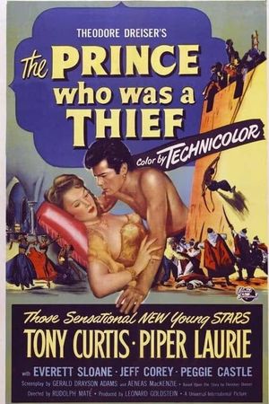 The Prince Who Was a Thief's poster image