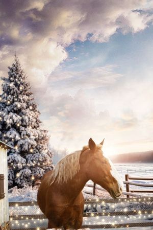 December Horses's poster