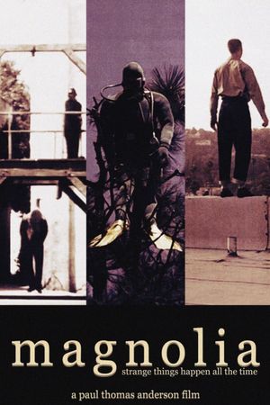Magnolia's poster