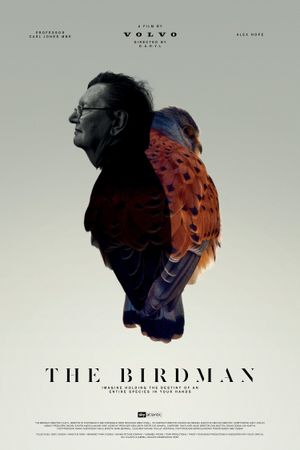 The Birdman's poster