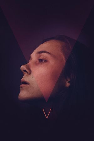 V's poster