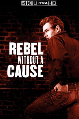 Rebel Without a Cause's poster