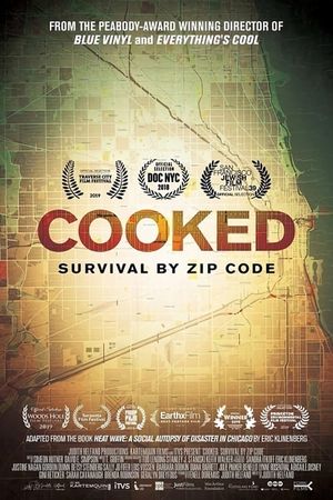 Cooked: Survival by Zip Code's poster