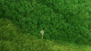 The Red Turtle's poster