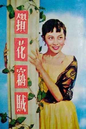 Zhuan hua qie zei's poster