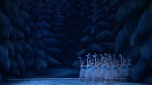 The Nutcracker's poster