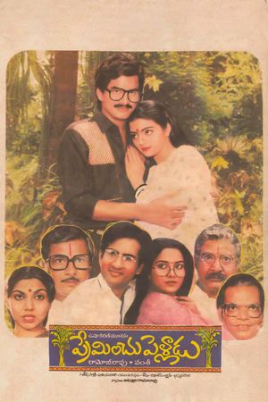 Preminchu Pelladu's poster