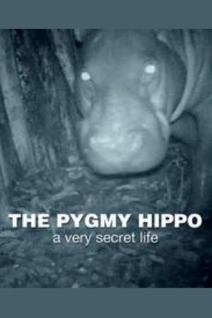 The Pygmy Hippo: A Very Secret Life's poster