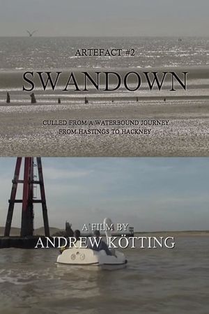Artefact #2: Swandown – Culled from a Waterbound Journey from Hastings to Hackney's poster