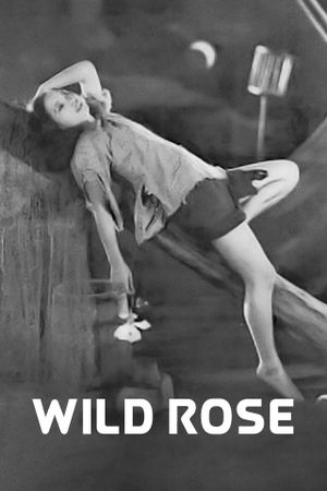 Wild Rose's poster