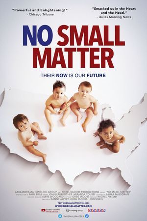 No Small Matter's poster