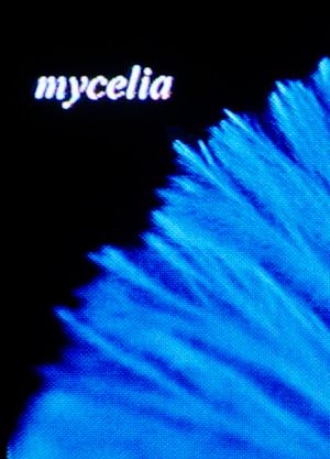 mycelia's poster