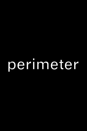 Perimeter's poster
