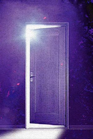 Door's poster