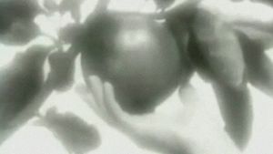 A Cloud Above Paradise's poster