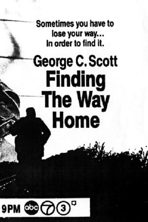 Finding the Way Home's poster