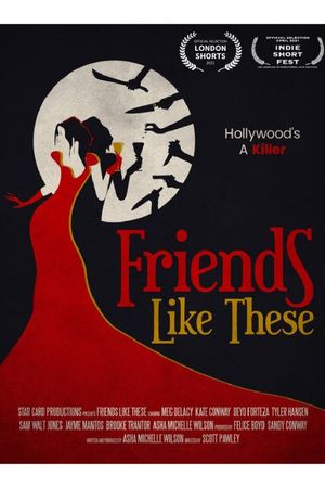Friends Like These's poster