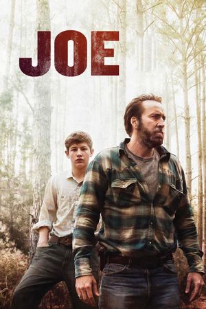 Joe's poster