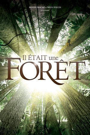 Il était une forêt's poster