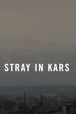 Stray in Kars's poster