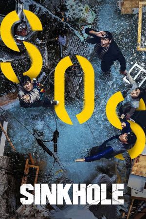 Sinkhole's poster
