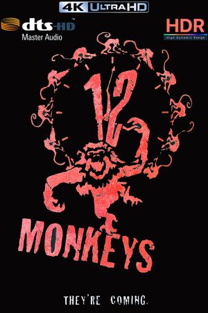 12 Monkeys's poster