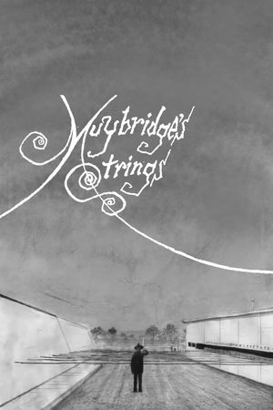 Muybridge's Strings's poster
