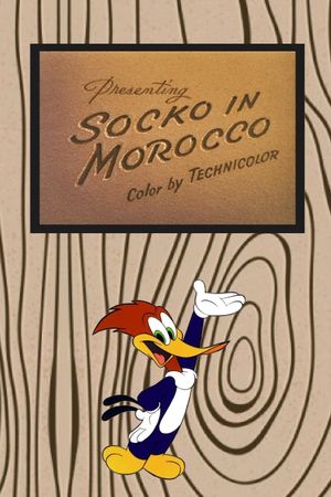 Socko in Morocco's poster