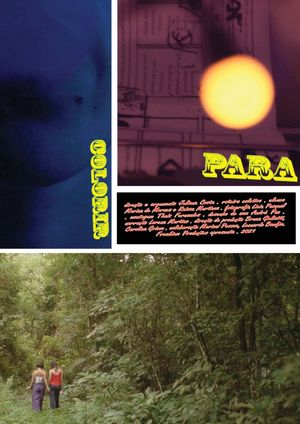 Para Colorir's poster