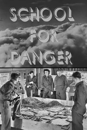 School for Danger's poster
