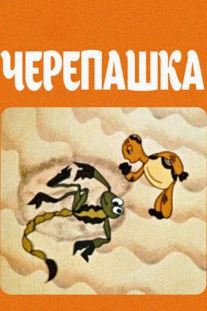 Turtle's poster