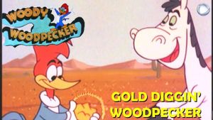 Gold Diggin' Woodpecker's poster