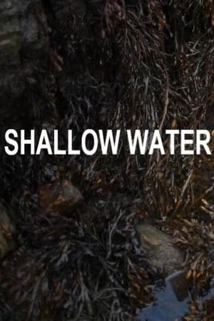 Shallow Water's poster