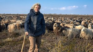 Sylt - Wellen, Wind und Watt's poster