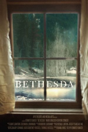 Bethesda's poster
