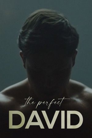The Perfect David's poster
