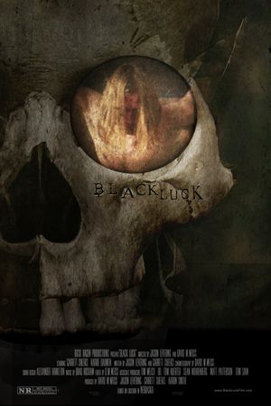 Black Luck's poster