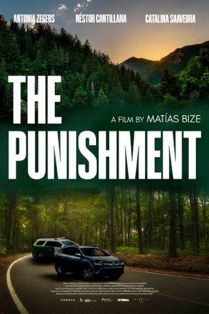 The Punishment's poster