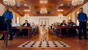 Dog on Trial's poster