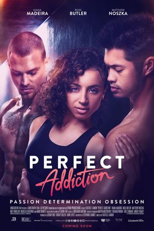 Perfect Addiction's poster