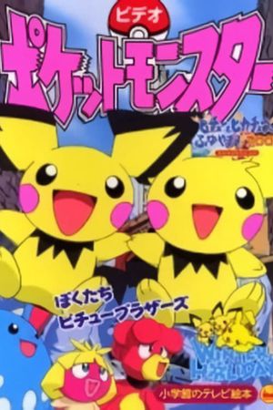 Pokemon: Bokutachi Pichu Brothers's poster image