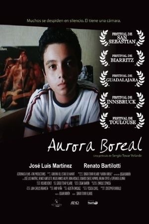 Aurora boreal's poster