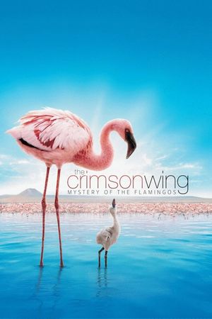 The Crimson Wing: Mystery of the Flamingos's poster