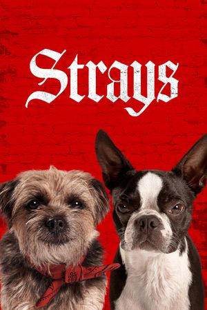 Strays's poster