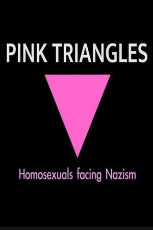 Pink Triangles, Homosexuals Facing Nazism's poster