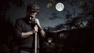 The Perception's poster