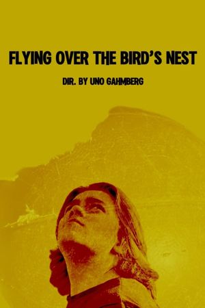 Flying Over The Bird's Nest's poster